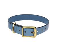 Chatsworth The Dog Blue English Leather Brass Buckle 2.5cm Collar D - Large 40-50cm CDG-021