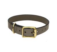 Chatsworth The Dog Brown English Leather Brass Buckle 2.5cm Collar D - X Large 50-60cm CDG-026