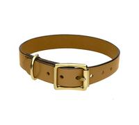 Chatsworth The Dog Gold English Leather Brass Buckle 2.5cm Collar D - Large 40-50cm CDG-017