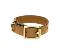 Chatsworth The Dog Gold English Leather Brass Buckle 2cm Collar D - Small 20-30cm CDG-019
