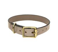 Chatsworth The Dog Grey English Leather Brass Buckle 2.5cm Collar D - X Large 50-60cm CDG-014