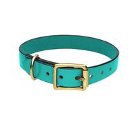 Chatsworth The Dog Turquoise English Leather Brass Buckle 2.5cm Collar D - X Large 50-60cm CDG-010