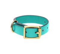 Chatsworth The Dog Turquoise English Leather Brass Buckle 2cm Collar D - Small 20-30cm CDG-011