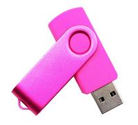 Chauuxee 1GB USB Sticks Flash Drives Memory Disk Thumb Drive Pen Drives for Pupil Students Bidding&Tender DOCUMENTS (Pink)