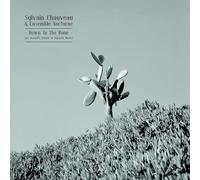 Chaveau, Sylvain - Down To The Bone: An Acoustic Tribute To Depeche Mode