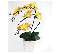 CHCWR 15" Artificial Phalaenopsis w/Porcelain Vase Indoor Silk Orchid Fake Plants in Pot Faux Flowers Arrangements for Living Room Table Centerpieces Home Decor