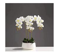 CHCWR 3/6/10 Heads Artificial Orchids Plants in White Pot for Decoration Real Touch Fake Phalaenopsis Bonsai Table Arrangements for Home/parlous/Wedding Party
