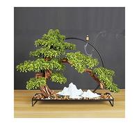 CHCWR Artificial Plants Bonsai Pine Tree Bonsai Feng Shui Tree Office Zen Ornaments with Incense Holder for Healing and Luck Fake Plant Decoration (Color : Red) (Green)