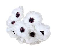 CHCWR Exotic Dried Flower Bouquet 3 Bunches Fake Poppy Bouquet, Artificial Flower Bunch for Wedding Party Home Bridal(NO VASE)(White)