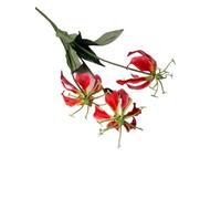 CHCWR Exotic Dried Flower Bouquet 5 PCS Artificial Gloriosa Lily, 50CM Tropical Lily Bouquet for Home Garden Kitchen Table Flower Arrangement Decor