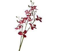 CHCWR Exotic Dried Flower Bouquet 5 Pcs Artificial Pink Orchid, Orchid Wedding Flowers, Orchid Home Decor for Wedding DIY Bridal Bouquet Home Kitchen Party Decoration