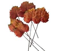 CHCWR Exotic Dried Flower Bouquet 5 Set Artificial Autumn Home Decor, Red Orange Leaf for Autumn Wedding,Home, Office, Indoor Decor
