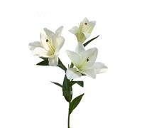 CHCWR Exotic Dried Flower Bouquet Elegant Lily Stems, 5 Pcs Artificial Flower Branches, Suitable for Wedding Bouquets, Home Flower Decoration Arrangement (NO VASE)(White)