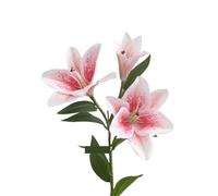 CHCWR Exotic Dried Flower Bouquet Elegant Lily Stems, 5 Pcs Artificial Flower Branches, Suitable for Wedding Bouquets, Home Flower Decoration Arrangement (NO VASE)(White)