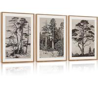 CHDITB 3PCS Vintage Sketch Pine Tree Framed Canvas Wall Art, Antique Wilderness Forest Wall Decor, Nature Botanical Wall Painting, Modern landscape Art Prints for Living Room Bedroom(30x40cm)