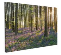 CHDITB Nature Forest Wall Art,Sunrise Forest Pictures Canvas Print,Nature Landscape Wall Painting,Trees Mountain Landscape Poster Decor,Woodland Framed Artwork for Living Room Bedroom