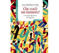 Che cos'è un numero? Una introduzione all'algebra. Nuova ediz. (Manuali)