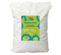 Cheap & Chirpy Dried Mealworms for Wild Birds - 5 Litre Refill Bag - Wild Bird Feed - Hedgehog & Squirrel Food - Swan and Duck Food (packaging may vary)