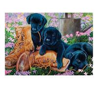 Cheatwell Games Black Lab Puppies 35 Piece Tray - Brand New And Sealed