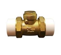 Check Valve DN20 DN25 DN32 DN40 DN50 DN63 Brass One-Way Valve(DN20)