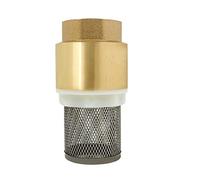 Check Valve with Filter for Pump 1/2 3/4 1 1-1/4 1-1/2 2 2-1/2 3 inch - Foot Valve Filter no Return Valve Foot Valve Strainer (3/4 inch)