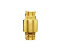 Check Valves 1/2 3/4 1 Inch BSP Male Thread Brass Vertical Lift Spring Valve One Way Non-Return for Water(1 Inch)