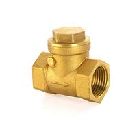 Check Valves One-Way Valve Brass Non-Return Valves for Water, Oil, Steam, Acidic Media, etc (1",25mm)