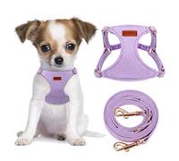 CHEDE No Pull Puppy Harness and Multifunction Dog Leash Set- 8 Colors Soft Adjustable No Choke Escape Proof Cute,Lightweight Pet Vest Harness for Small and Medium Dog (XS, Purple)