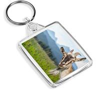 Cheeky Billy Goat Keyring - IP02 - Funny Mountain Sheep Cute Fun #8515