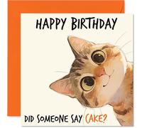 Cheeky Birthday Card - Did Someone Say Cake? - Playful Tabby Cat Illustration Peeking Out - Light-hearted Design Brings a Smile to Any Celebration - 145mm Square, Envelope Included