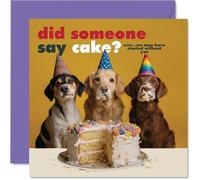 Cheeky Birthday Card - Who Ate All the Cake? - Three Dogs in Party Hats Caught Mid-mischief with Cake on Their Faces - 145mm Square, Envelope Included