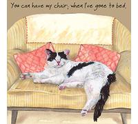 Cheeky Black and White Cat Blank Birthday or Any Occasion Card - Bedtime