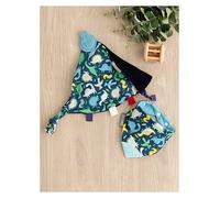 Cheeky Chompers Teething Sensory Chew Pack - Baby Dino
