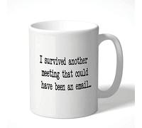Cheeky Chops Mug - I Survived Another Meeting That Could Have Been an email...Funny Novelty Birthday Office Cup Drink - CMUG49