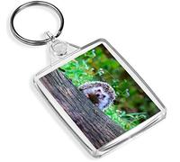 Cheeky Hedgehog Keyring - IP02 - British Wildlife Cute Funny Nature #14322