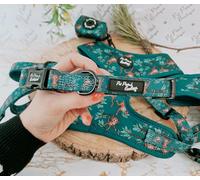 Cheeky Monkey Dog Collar - Pet Pooch Boutique - sizes XS-M (Medium 32-50cm / 12.5-19.5 inch. 2cm wide)