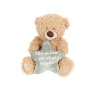 Cheeky Plush Teddy Bear 20cm - Hilarious Valentine's or B'day Gift! Soft Cuddly Bear Holding Heart or Star with Rude Sassy Message - Funny Gift for Boyfriend Girlfriend or Bestie (Poke the Bear)