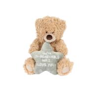 Cheeky Plush Teddy Bear 20cm - Hilarious Valentine's or B'day Gift! Soft Cuddly Bear Holding Heart or Star with Rude Sassy Message - Funny Gift for Boyfriend Girlfriend or Bestie (Un-Bear-Able)