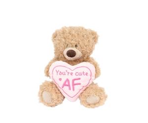 Cheeky Plush Teddy Bear 20cm - Hilarious Valentine's or B'day Gift! Soft Cuddly Bear Holding Heart or Star with Rude Sassy Message - Funny Gift for Boyfriend Girlfriend or Bestie (Cute AF)