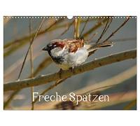 Cheeky sparrows UK-Version (Wall Calendar 2026 DIN A3 Landscape), CALVENDO 12 Month Wall Calendar