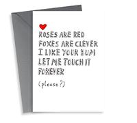 Cheeky Valentines Day Card - Roses Are Red - Poem - I Like Your Bum Let Me Touch It Forever, Please?