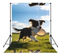 Cheerful Pup on Grass Adventure Print Photography Backdrop - 152 Ã- 213 cm Portable Backdrop Curtains for Photo Shoot Backdrop for Home Party Use