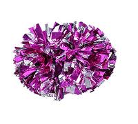 Cheerleader Pom Poms, 1 Pair 8 Colors Quality Plastic Cheerleader Aerobics Hand Flower Ball for Games School Sports Competition(Rose+Silver)