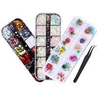 Cheeroyal 3 Boxes Holographic Nail Sequins, 3D Butterfly Nail Glitter Sequins, Iridescent Mermaid Flakes Colorful Glitter Sticker, 12 Colors Dried Flowers Nail Art Design Make Up DIY Decals Decoration