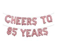 Cheers to 85 Years Banner Foil 85th Birthday Balloon Party Decorations for Him/Her 85 Years Anniversary Decorations Wedding Party Supplies For Men/Women (CHEERS TO 85 YEARS Pink)