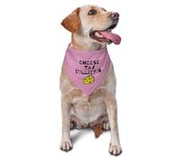 Cheese Tax Collector Dog Bandana,Funny Foodie Pet Gifts for Puppy Lover,Reversible Bibs Handkerchief for Pet,Photo Prop (Pink)