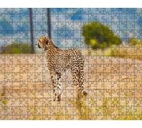 Cheetah-500-Piece Puzzle Challenge Wooden Home Decor - A Gift for the Whole Family (14 years+)