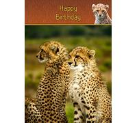 Cheetah Birthday Card