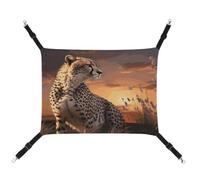 Cheetah Looking Out Over Savanna with Sunset Cat Cage Hammock Cat Hammock for Cage Rat Hammock Ferret Hammock Cat Hammock for Large Cats Hanging Cat Bed Cat Hammock Bed Chinchilla Hammock Pet Hammock