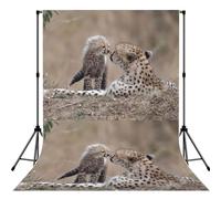Cheetah, Photography Backdrop Photo Props 5x7FT Photo Background for Party Home Decoration